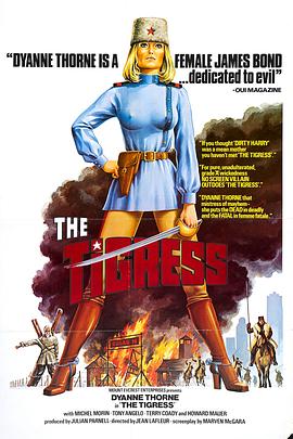 滨州网站优化怎么选